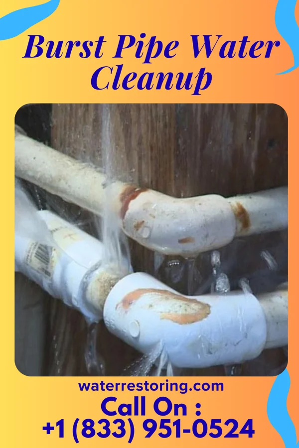 Burst Pipe Water Cleanup in Towanda, IL